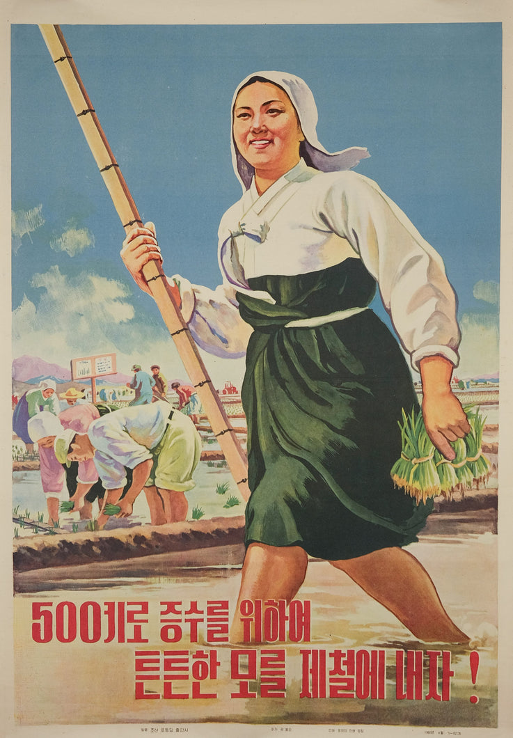 image of 1966 North Korean vintage original communist propaganda poster titled Let's plant healthy rice plants on time to harvest an additional 500kg! 