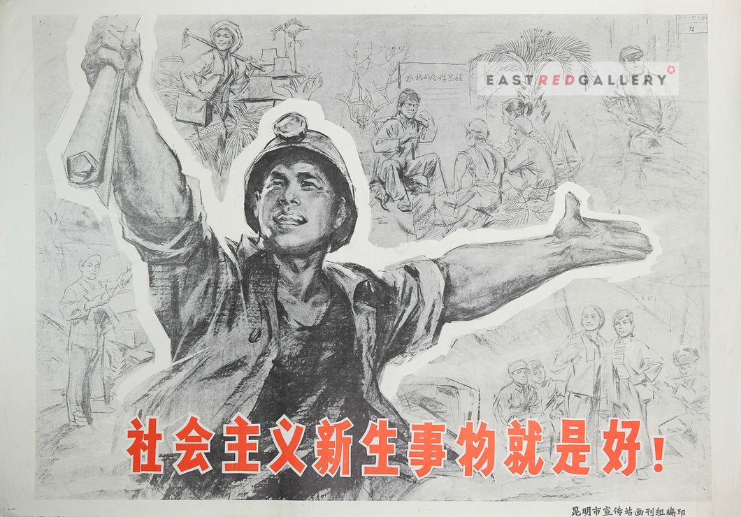 image of 1976 Chinese propaganda poster The new things in socialism are good!